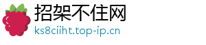 招架不住网